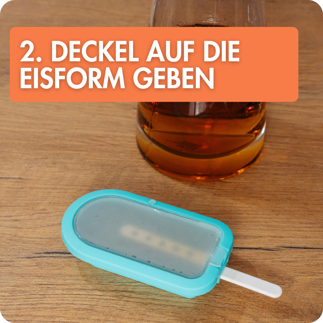 4er Eisformen Set