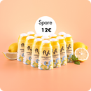 Zestawy ekonomiczne po 12 sztuk (wszystkie odmiany)