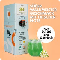 pudełko syropu bez cukru Fyl