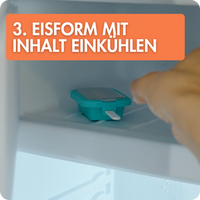 4er Eisformen Set