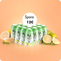 Zestawy ekonomiczne po 12 sztuk (wszystkie odmiany)