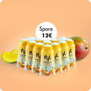 Zestawy ekonomiczne po 12 sztuk (wszystkie odmiany)