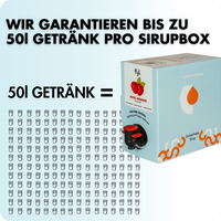 pudełko syropu bez cukru Fyl